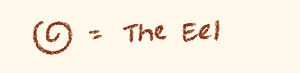 eel-mages